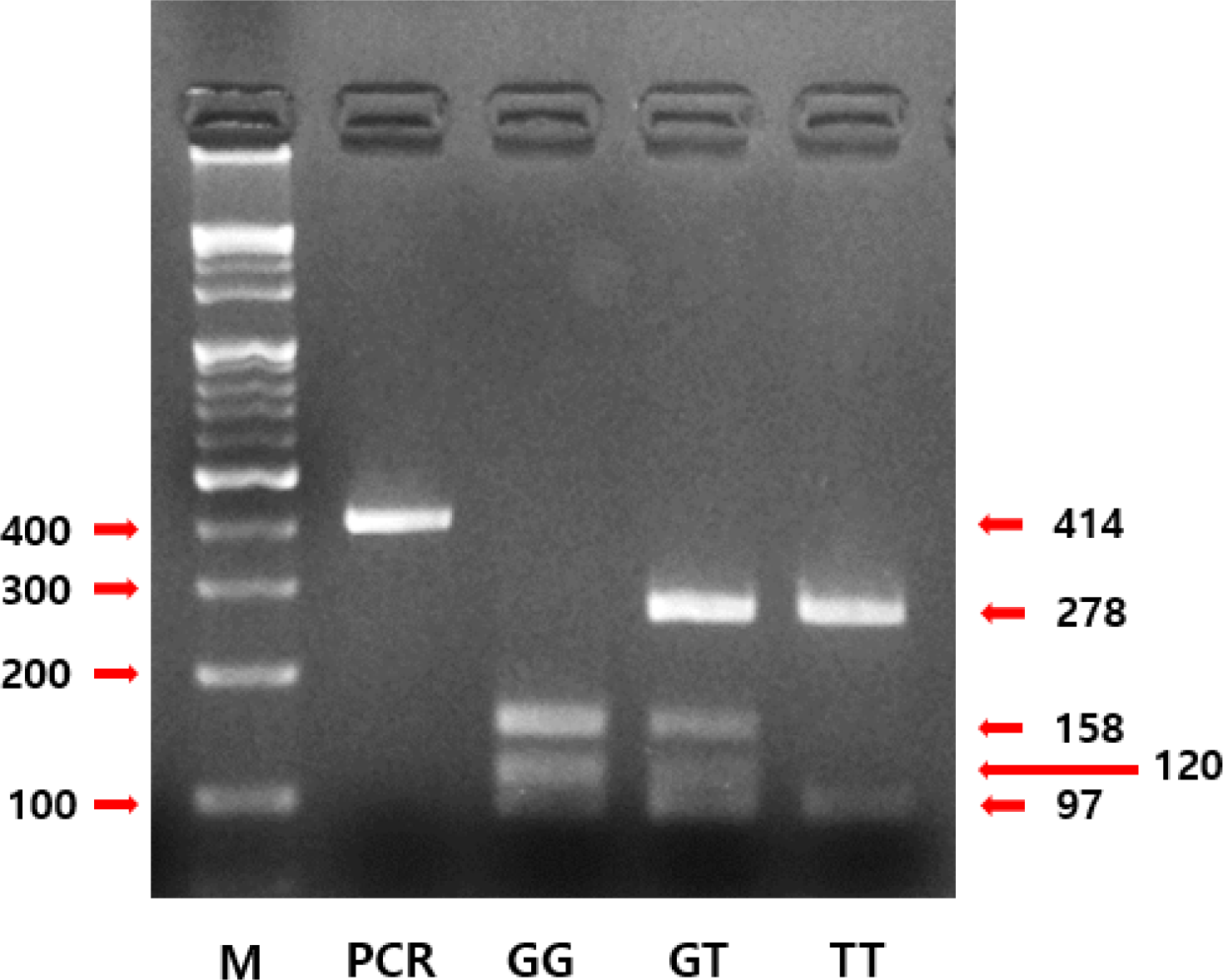 rsr-5-2-123-g1